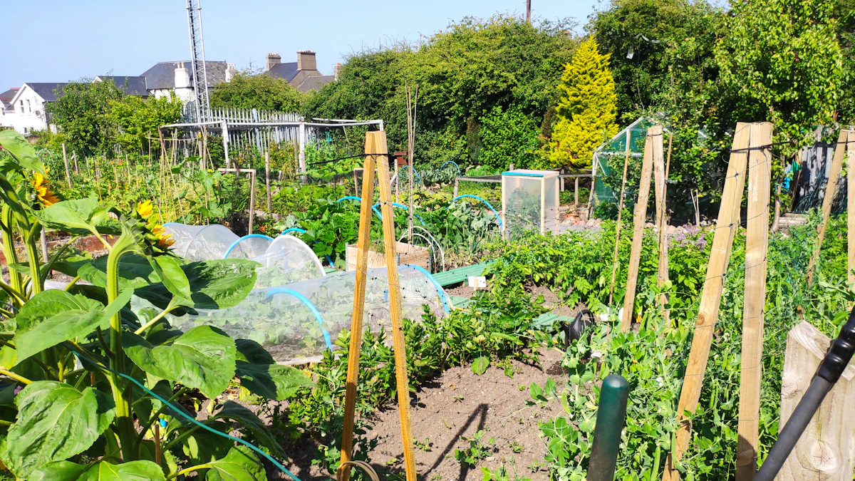 A lush community garden filled with green plants